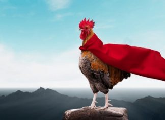 El Síndrome Dunning – Kruger Aplicado a las Oposiciones