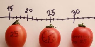 tecnica pomodoro oposiciones
