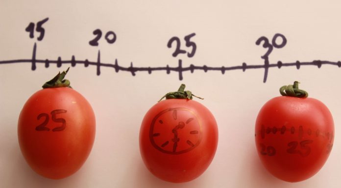 tecnica pomodoro oposiciones