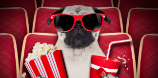 cinco películas de Netflix para motivarte en tus oposiciones