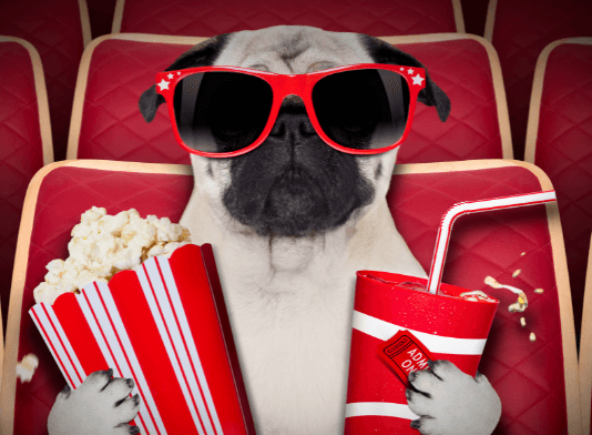 cinco películas de Netflix para motivarte en tus oposiciones