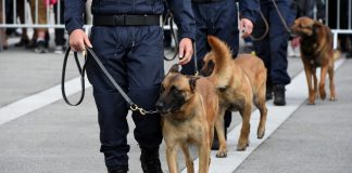 Convocadas 2.218 plazas de la Escala Básica de Policía Nacional