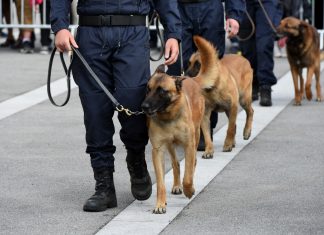 Convocadas 2.218 plazas de la Escala Básica de Policía Nacional
