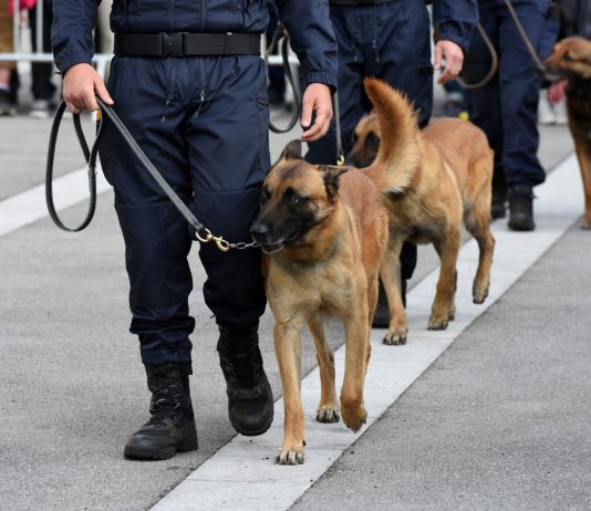 Convocadas 2.218 plazas de la Escala Básica de Policía Nacional