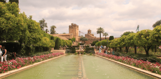 OEP 2021 de la Universidad de Córdoba: 97 plazas