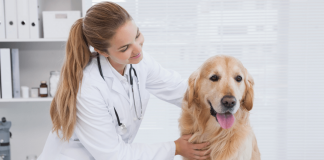 IISS de la Junta de Andalucía: Veterinarios/as y Farmacéuticos/as