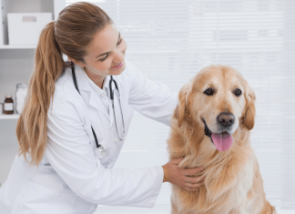 IISS de la Junta de Andalucía: Veterinarios/as y Farmacéuticos/as