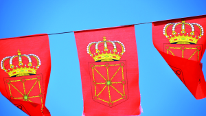 Agentes de la Policía Foral de Navarra