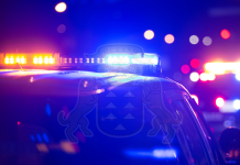 Abierto el plazo de instancias para la Policía Canaria policía canaria