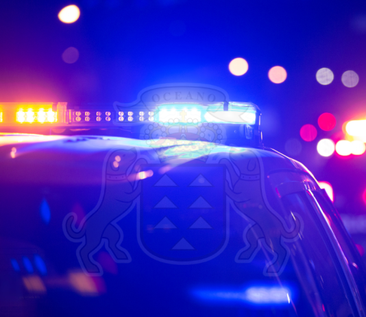 policía canaria