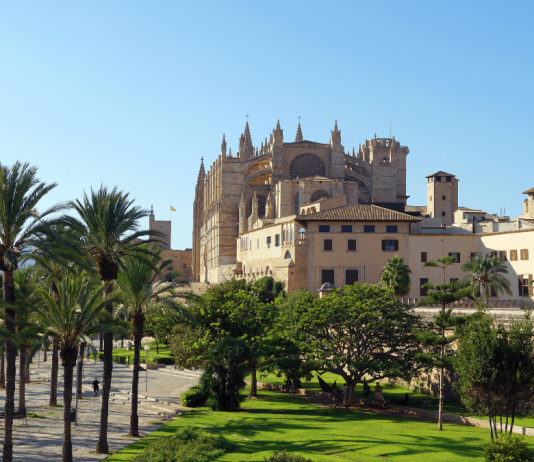 El Ayuntamiento de Palma convoca 90 plazas de Auxiliar Administrativo/a El Ayuntamiento de Palma convoca 12 plazas de Auxiliar Administrativo/a