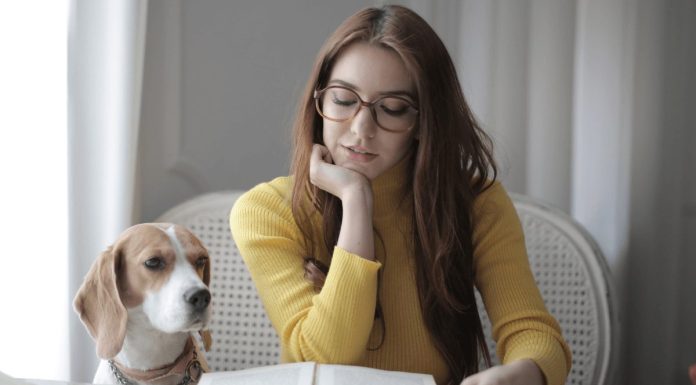 Cómo preparar una oposición en 6 meses: guía para adultos con responsabilidades familiares