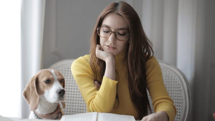 Cómo preparar una oposición en 6 meses: guía para adultos con responsabilidades familiares