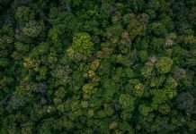 Convocatoria con 96 plazas para Agente Forestal en la Comunidad de Madrid agente forestal