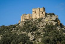 Aprobada la OPE 2025 de la Junta de Extremadura: desglose de las 2.356 plazas Extremadura